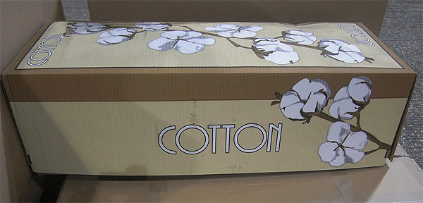 Decorative cotton stems wholesale from Israel
