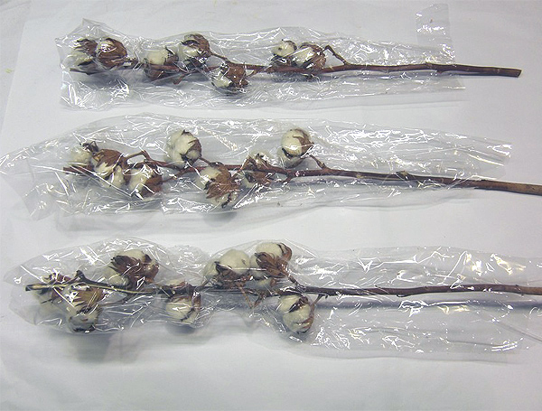 Packaging options decorative cotton stems