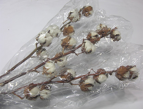 Decorative dry cotton grower-direct packaging