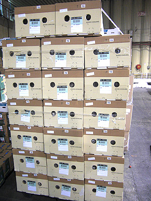 Sea shipping cargo cotton bunch decorative flowers worldwide delivery