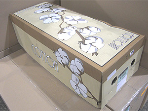 To buy decorative cotton flowers packing